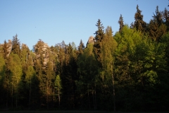 P5193493 P5193493